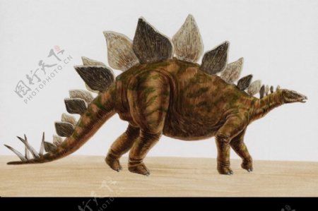白垩纪恐龙0056