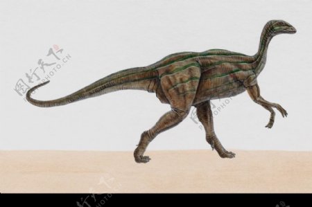 白垩纪恐龙0090