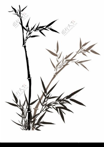 竹子荷花植物0003