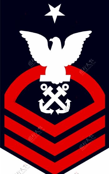 军队徽章0062