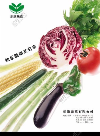 乐康蔬菜0001
