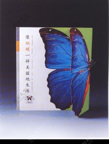 中国书籍装帧设计0129