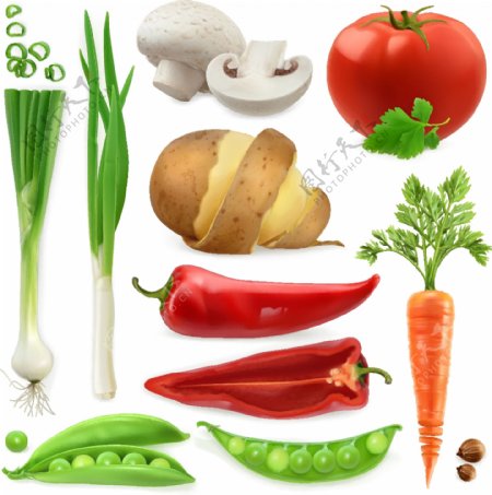 多种果蔬食品矢量素材