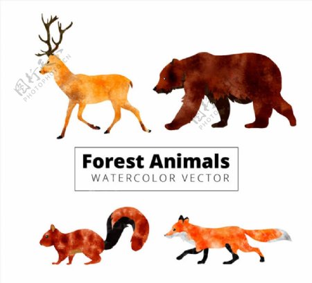 4款水彩绘动感森林动物矢量图