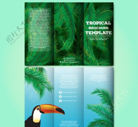 创意热带三折页宣传册矢量素材
