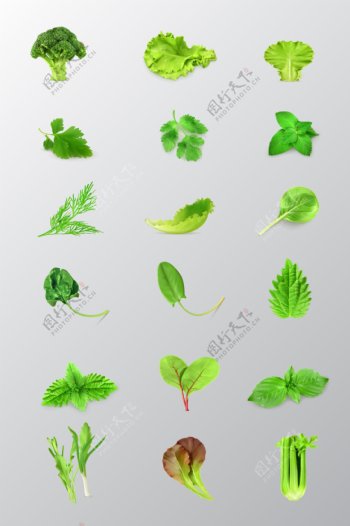 青菜图形标识矢量素材蔬菜