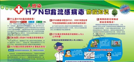 H7N9型禽流感禽流感知识