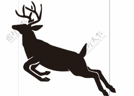 鹿剪影麋鹿鹿