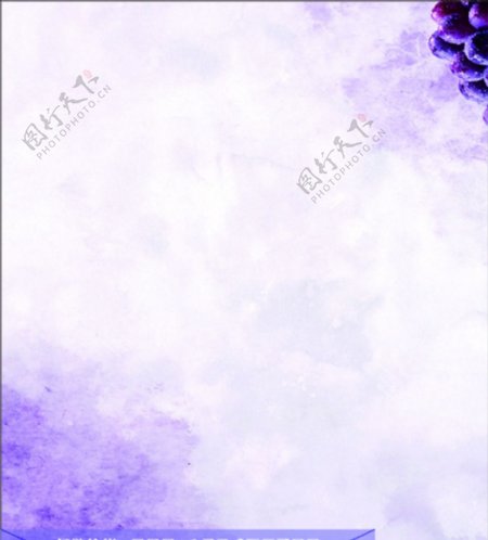 葡萄紫色背景