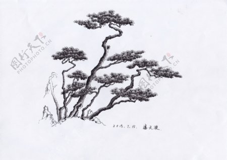 画家潘天波松树作品