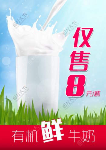 鲜牛奶宣传单设计