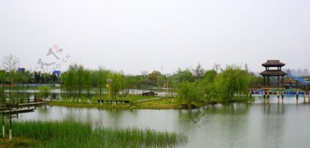 洋湖湿地公园