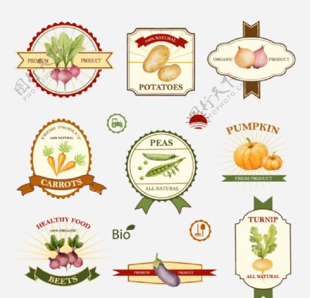 9款蔬菜标签矢量素材