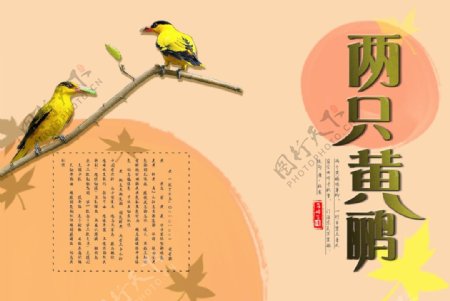 黄鹂鸟海报