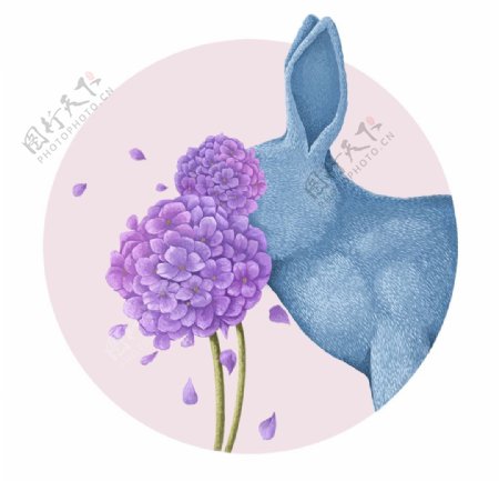 兔子彩绘插画图标