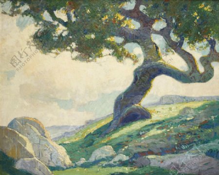 树20世纪油画