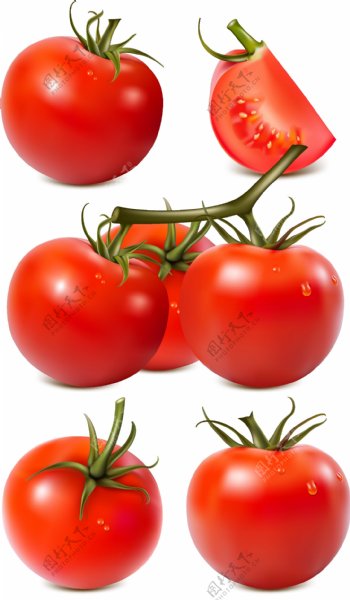 卡通番茄西红柿矢量素材