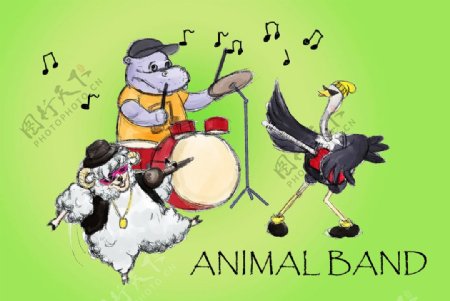 卡通动物乐队