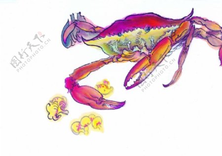 色彩水墨螃蟹