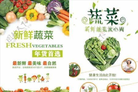 绿色蔬菜传单