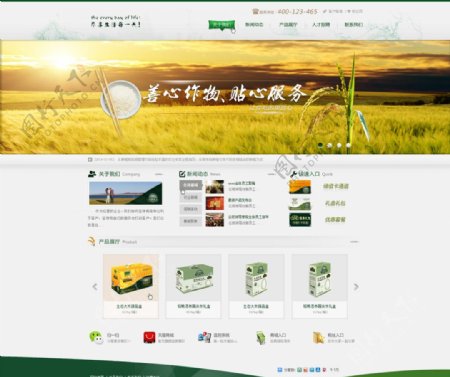 农业风格企业网站