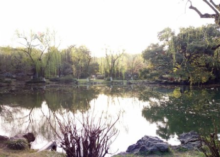 西湖风景