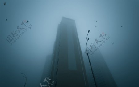雾霾中的楼房和飞鸟