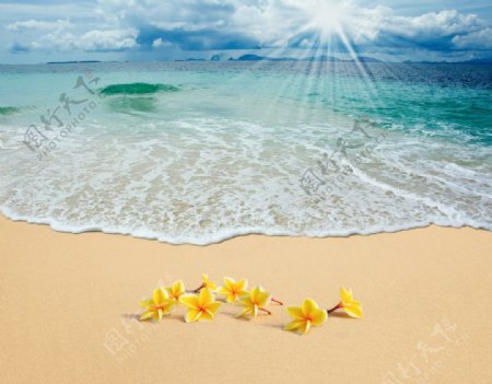 阳光沙滩海浪