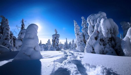 冬雪景观