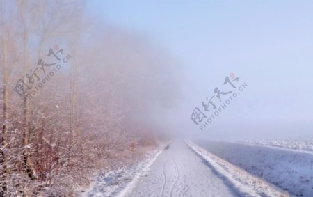 冬季公路雪景