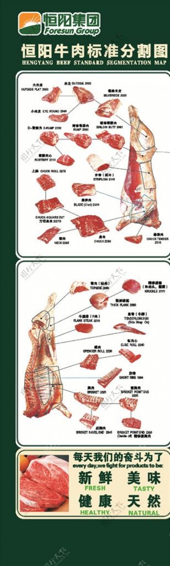 牛肉标准分割图