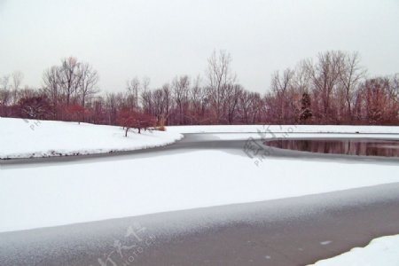 冬天里的冰池