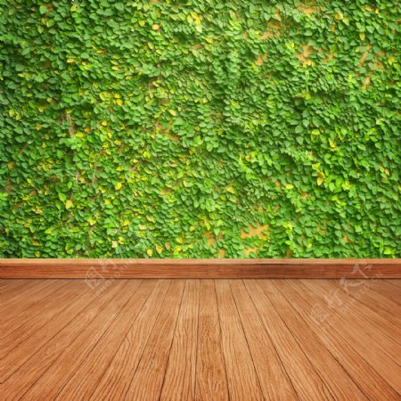 空间木纹地板绿草背景底纹