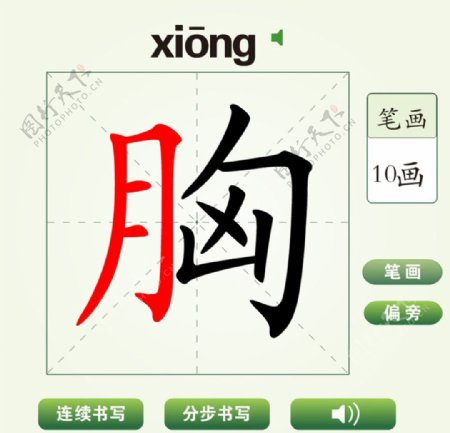 中国汉字胸字笔画教学动画视频