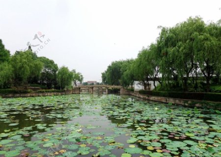 浙江古运河畔风景
