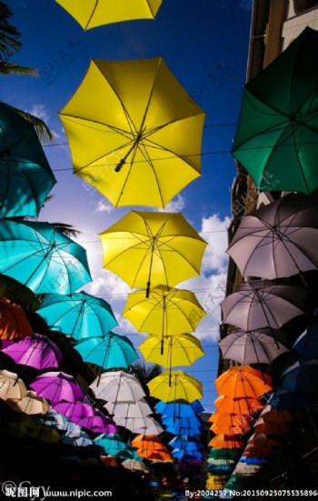 彩色的伞