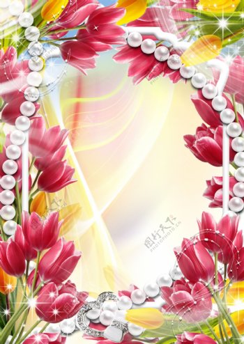 美丽郁金香花卉背景相框