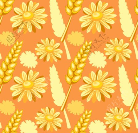 花朵麦穗麦子