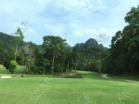 马来西亚原始森林