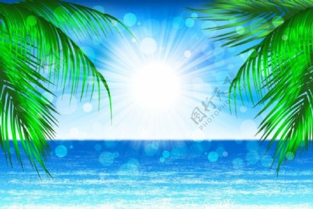 椰树大海阳光