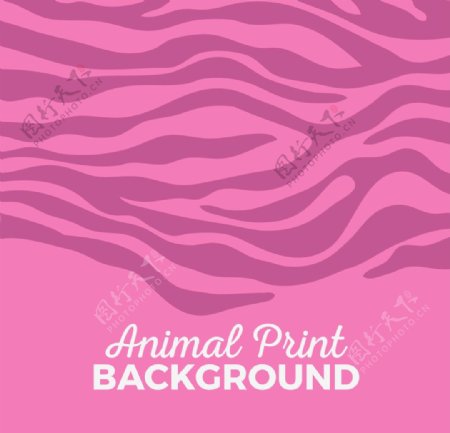 动物粉红色的背景