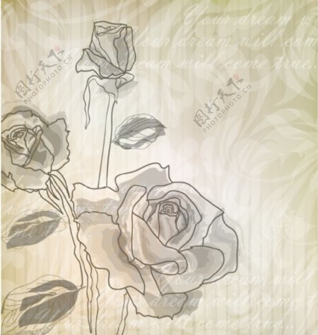 3朵玫瑰花手绘矢量花纹