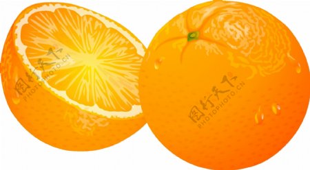 橙子水果矢量素材