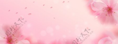 粉红桃花海报橱窗淘宝