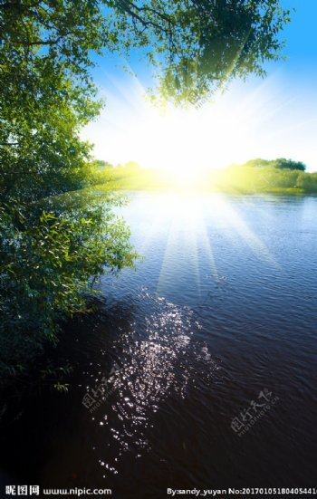 耀眼阳光与树木湖景