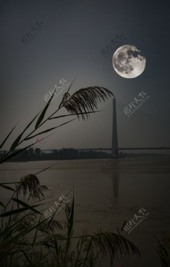 河上升明月
