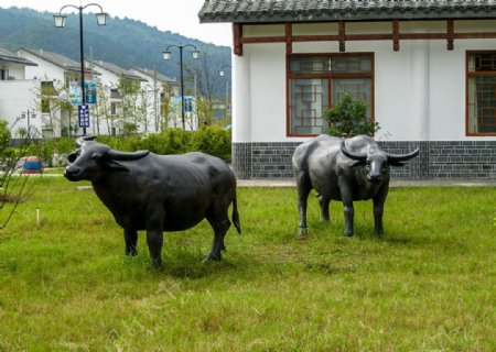 水牛雕塑