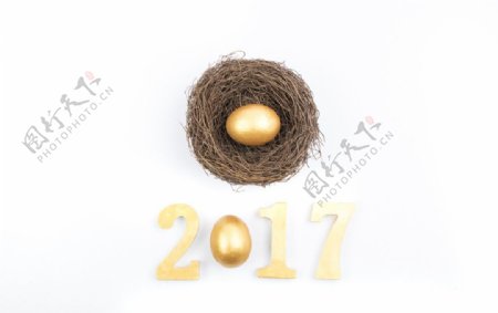 2017和鸟窝鸡蛋摆拍