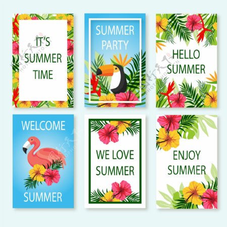 夏季热带花鸟卡片