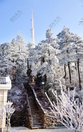 雪景